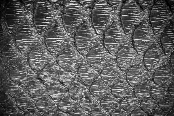 Black  python  leather, skin texture for background.