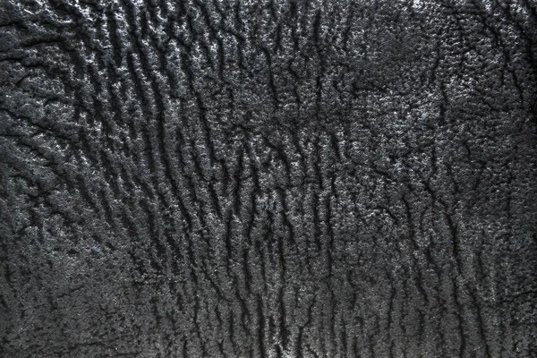 Black and white texture, shark leather background.