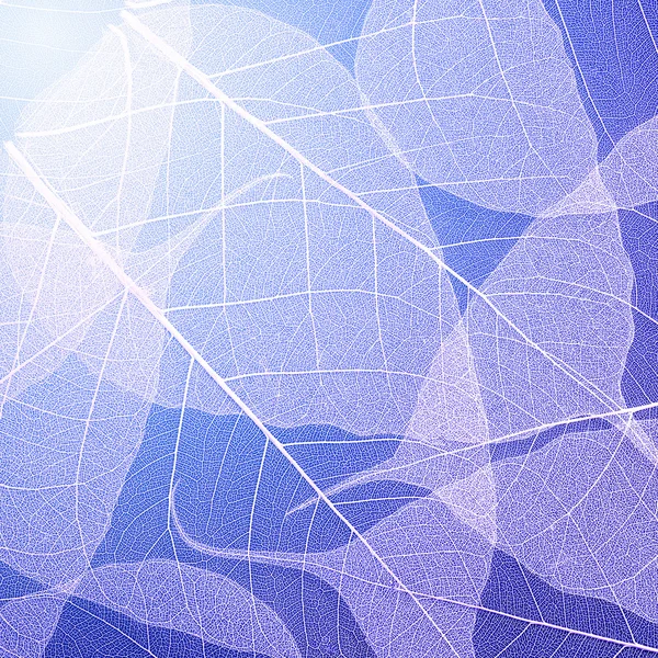 Blue leaves texture background. Foliage decoration pattern.