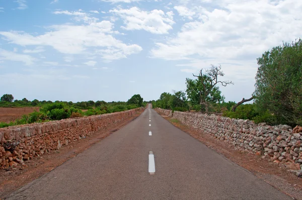 A road with stone walls in the countryside, Mallorca