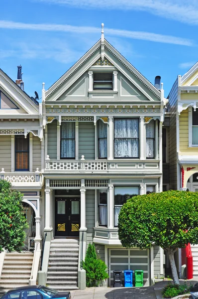 San Francisco, California, Usa: close up of one of the Painted Ladies