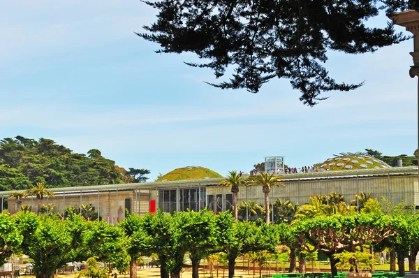 San Francisco: the green roof of California Academy of Sciences