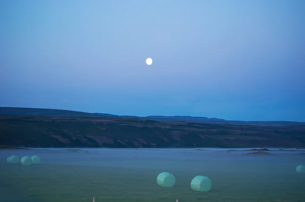 Iceland: pink landscape and the moon with fog from the Route 1, the Ring Road