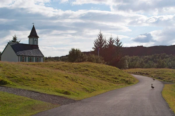 Iceland: a duck on a path and the Thingvellir church
