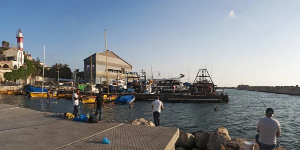 Israel: fishermen at the port of the Old City of Jaffa