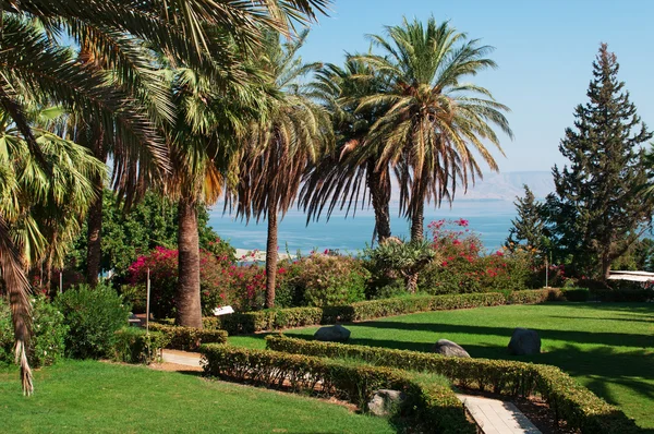 Israel: the gardens of Mount of Beatitudes