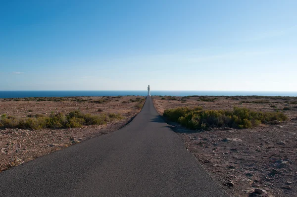 Fomentera: the road, Mediterranean maquis and Es Cap de Barbaria Lighthouse