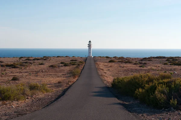 Fomentera: the road, Mediterranean maquis and Es Cap de Barbaria Lighthouse