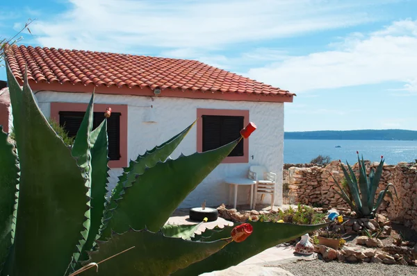 Fomentera, Balearic Islands: an aloe plant and a white house with the red roof