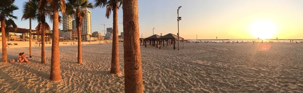 Palm trees and sand on Tel Aviv beach