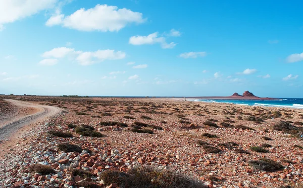 Dihamri marine protected area, the beach, corals, shells, red mountains, diving in Socotra island, Yemen