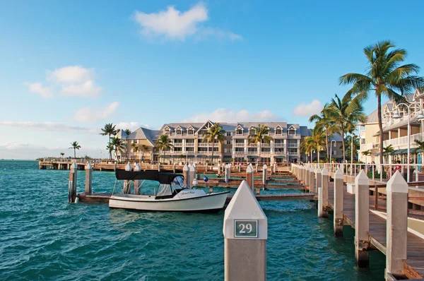 Palms, houses, pier, speedboat, Key West, Keys, Cayo Hueso, Monroe County, island, Florida