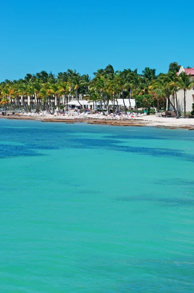 Higgs beach pier, palms, houses, sea, Key West, Keys, Cayo Hueso, Monroe County, island, Florida