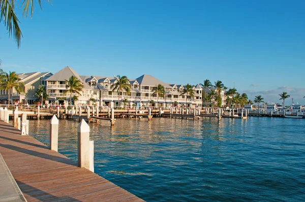 Palms, houses, pier, boats, Key West, Keys, Cayo Hueso, Monroe County, island, Florida