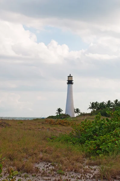 Cape Florida Lighthouse, beach, vegetation, Bill Baggs Cape Florida State Park, protected area, Key Biscayne, Miami, Miami Beach