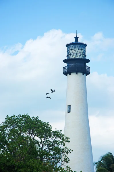 Cape Florida Lighthouse, Bill Baggs Cape Florida State Park, protected area, Key Biscayne, Miami, Miami Beach