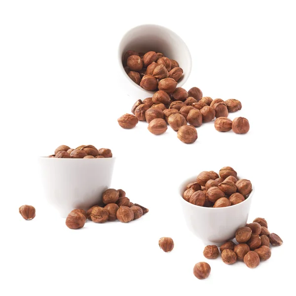 Cup filled with the hazelnuts