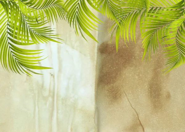 Old paper background with palm leaf