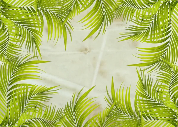 Old paper background with palm leaf