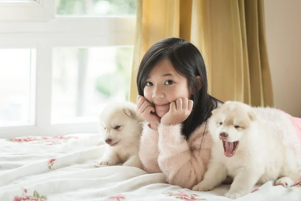 Little asian girl lying with two siberian husky puppies