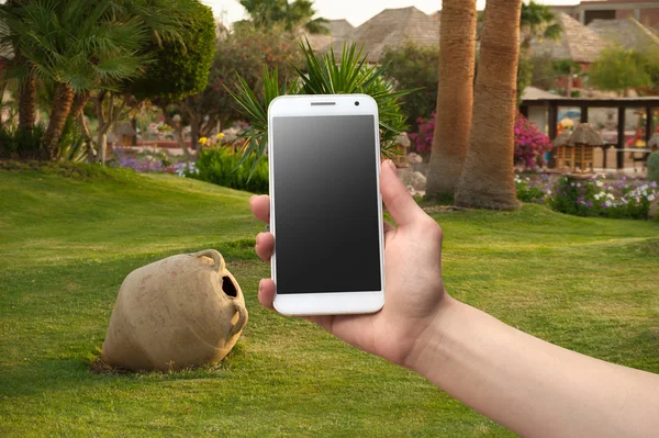 Hand holding a phone against a background of a lawn