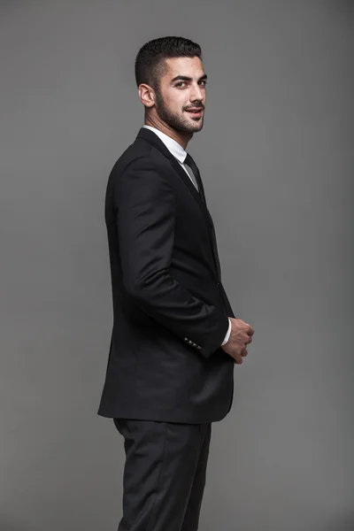 Handsome elegant man on grey background