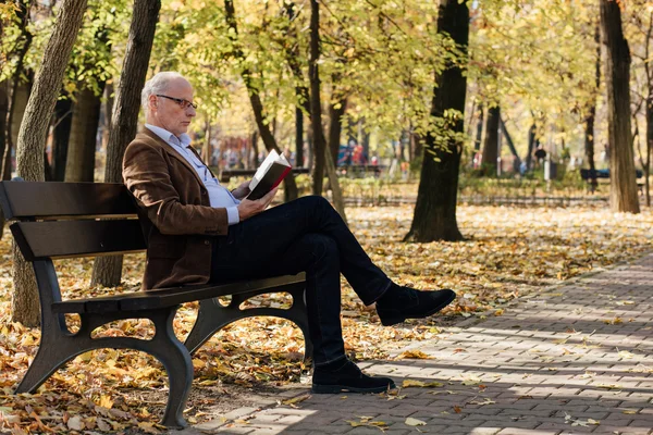 Old elegant man reading a book outside