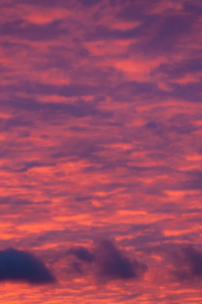 Vibrant purple clouds sunset