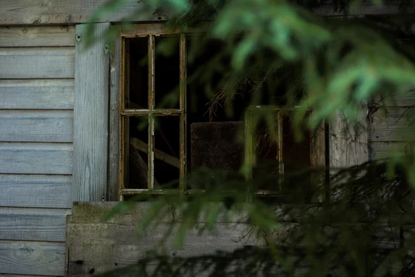 Abandoned cabin in the woods window