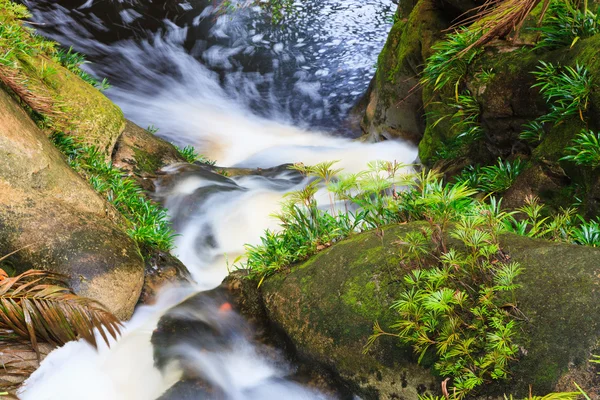 Small waterfall in jungle