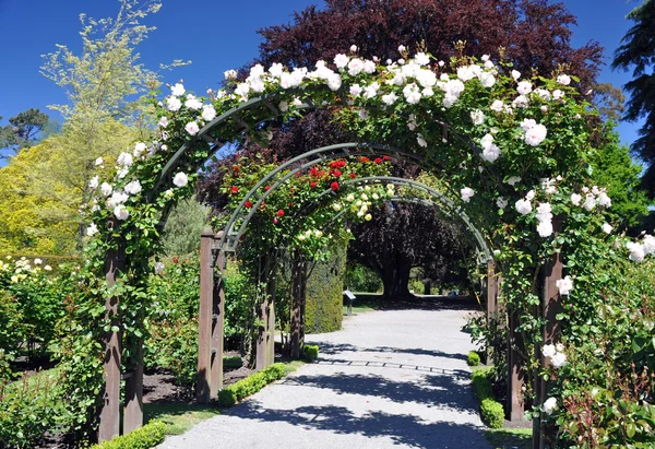 Rose arch