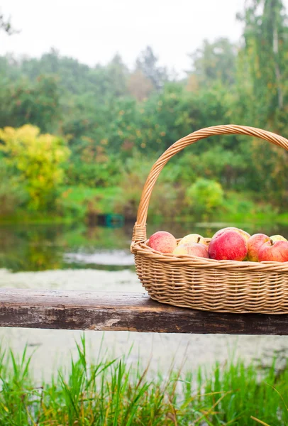 Big straw basket with red and yellow apples on bench by the lake