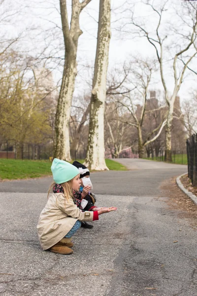 Little girls feeds a squirrel in Central park, New York, America