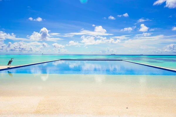 Luxury outdoors infinity swimming pool in the tropical hotel