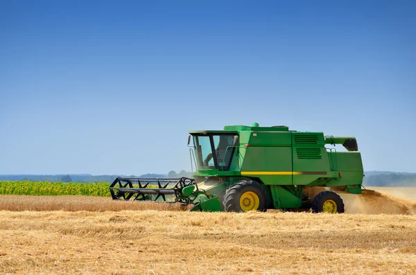 Agricultural machinery harvests of cereal crops in the field