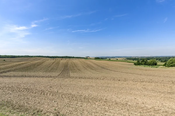 Landscape with arable land forest and blue sky