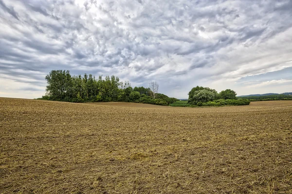HDR landscape with arable land, forest and cloudscape