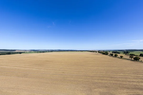 Flat landscape in Mecklenburg, Germany with blue sky