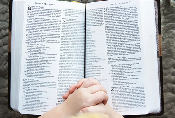 Child\'s Hands Praying Over Open Holy Bible