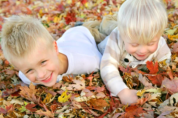 Two Young Children Playing in Fall Leaf Pile