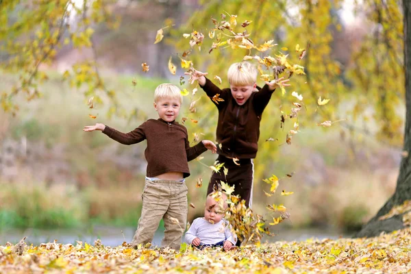 Three Young Children playing in Fallen Leaves