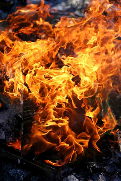 Flames on Wood in Outdoor Summer Bonfire