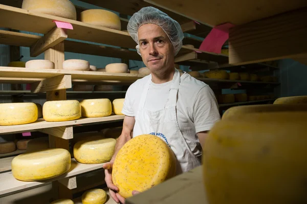 Cheese maker cleaning cheeses in workshop