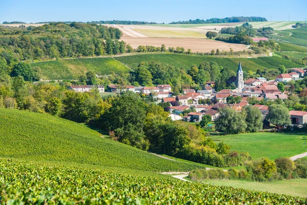 Champagne vineyards in the Cote des Bar Aube