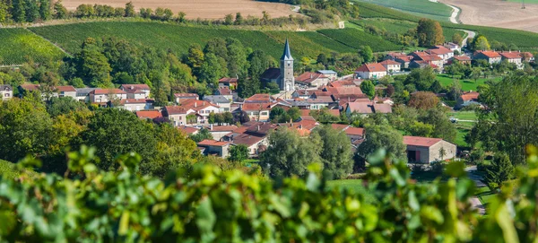 Champagne vineyards in the Cote des Bar Aube