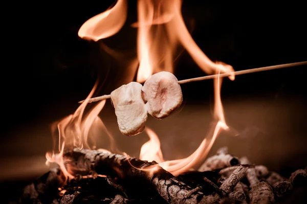 Close-up of marshmallows roasting in campfire, Nature
