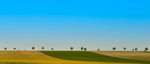 Green trees in a fields on blue sky, Champagne, France