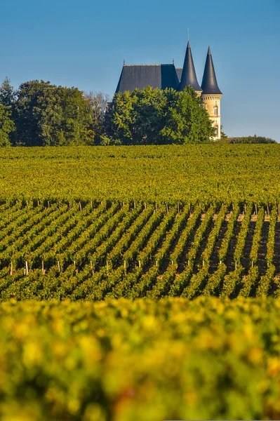 Castle in Bordeaux Vineyard Sunrise