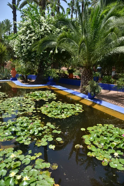 Jardin Majorelle, Marrakesh, Morocco