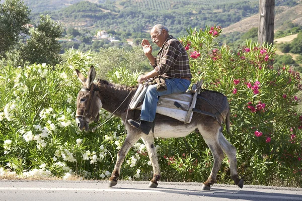 Old man riding a donkey on the street on Crete